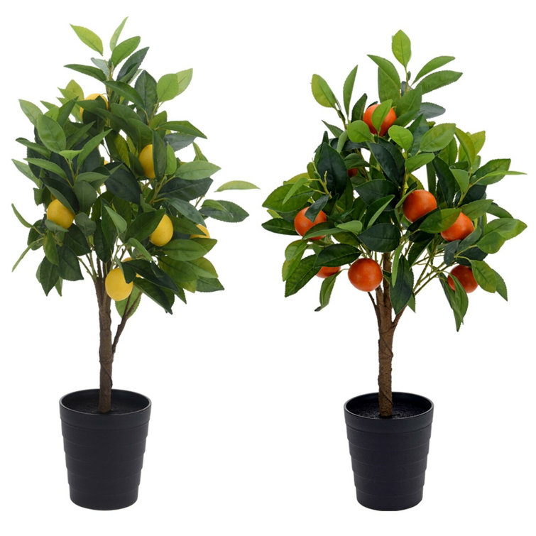 The Seasonal Aisle 70Cm Faux Lemon Tree in Pot Wayfair.co.uk